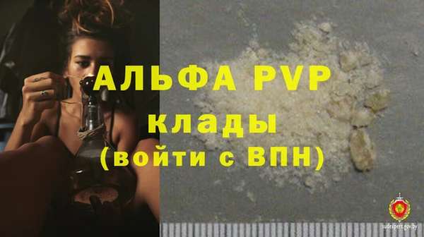 гидра Белокуриха