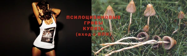 мефедрон Богданович