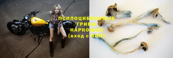 а пвп мука Беломорск