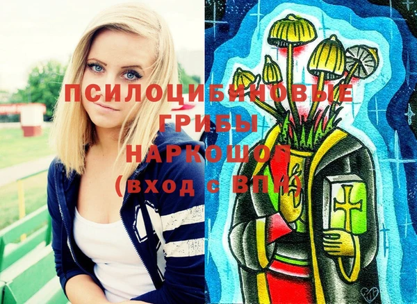 метамфетамин Богородицк
