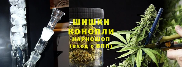 гидра Белокуриха