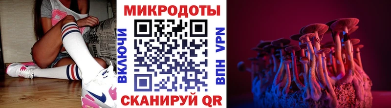 Галлюциногенные грибы прущие грибы  ОМГ ОМГ как зайти  Чудово 