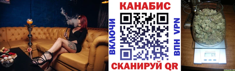 Конопля план  Чудово 